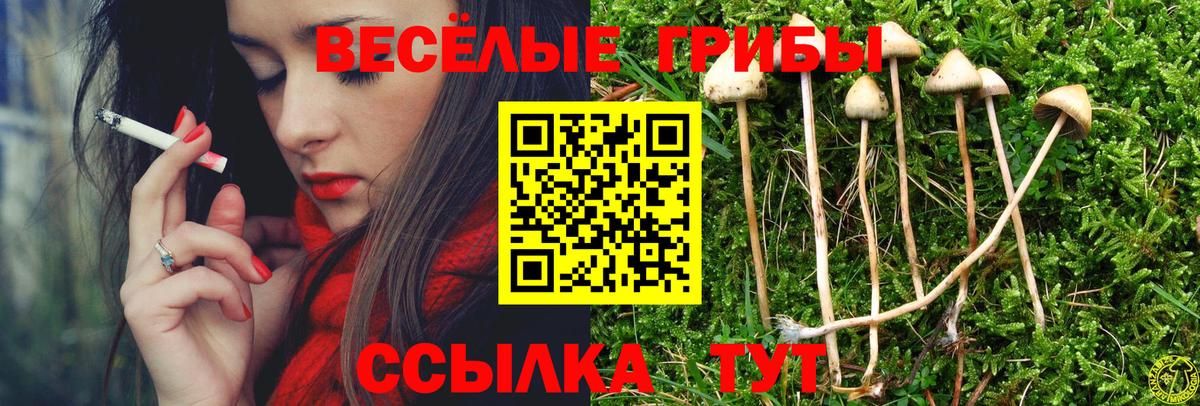 Псилоцибиновые грибы Psilocybe  Вход с VPN  Сургут  Галлюциногенные грибы Psilocybine cubensis 